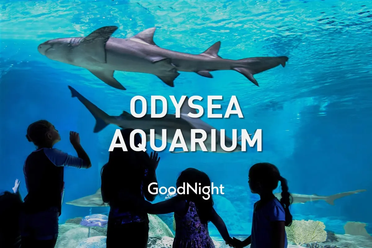 Inside an aquarium, children gaze up in awe at sharks swimming overhead through a curved glass tunnel. The scene is filled with a sense of wonder, education, and family bonding.