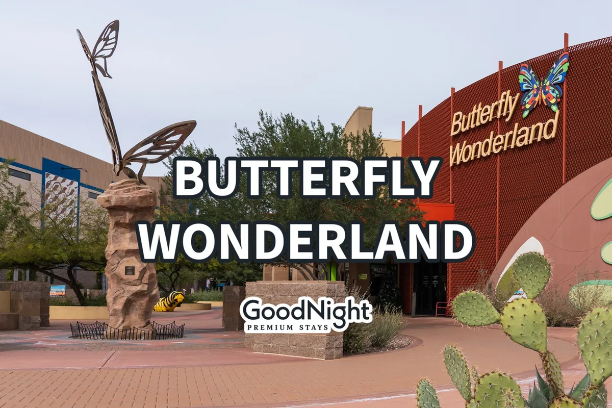The exterior of Butterfly Wonderland, featuring a prominent butterfly sculpture, vibrant cacti, and well-kept landscaping. The image evokes a sense of playfulness and welcomes families to a unique, interactive attraction.